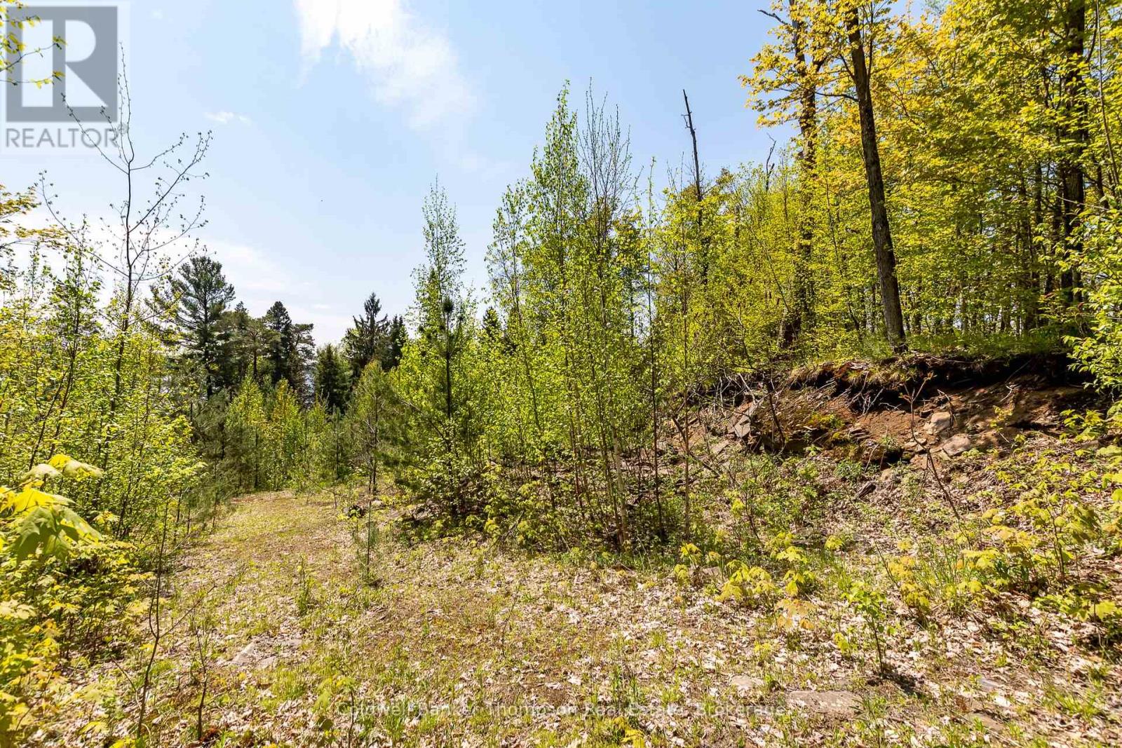 631 60 Highway, Huntsville, Ontario  P1H 1B4 - Photo 16 - X12360516