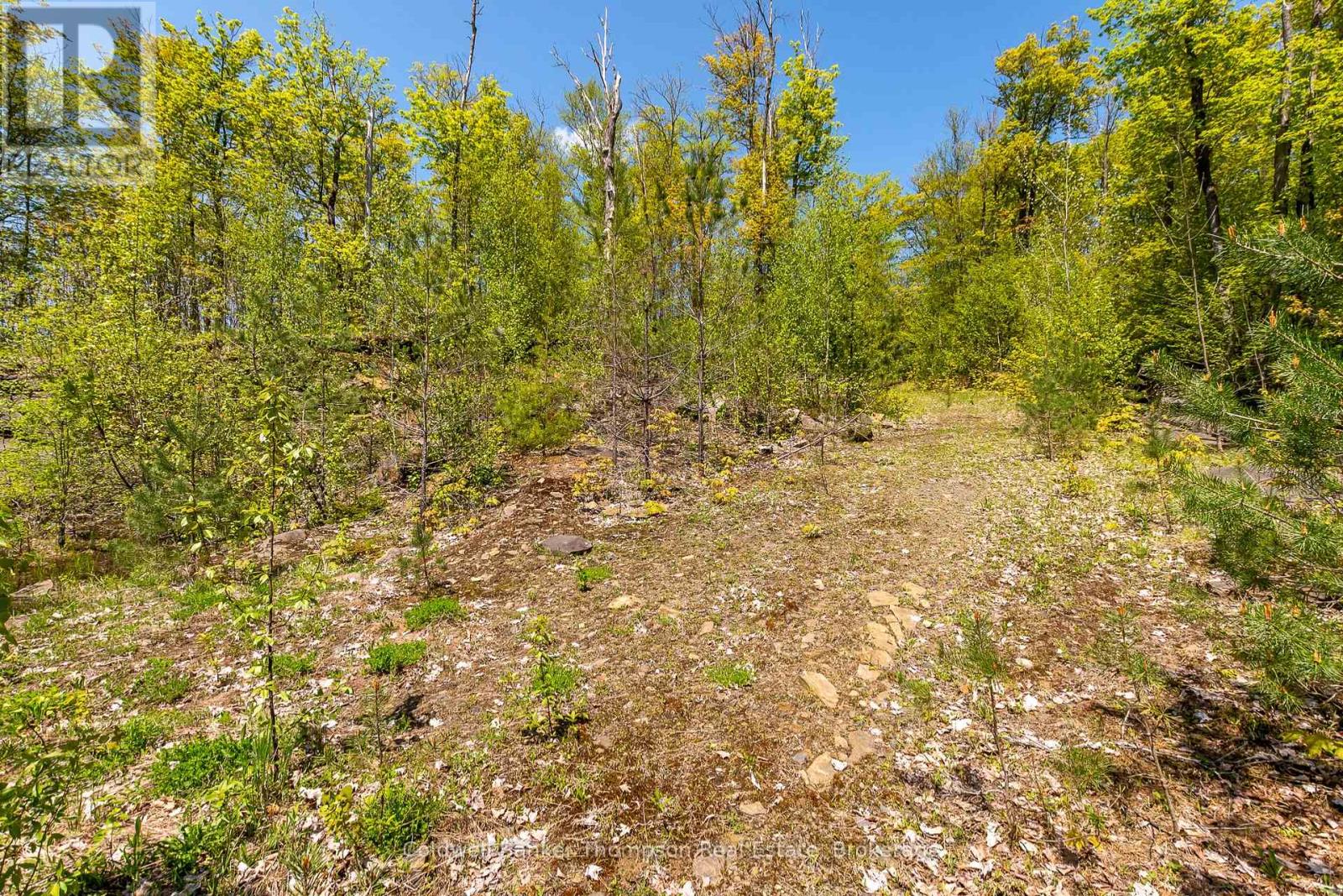 631 60 Highway, Huntsville, Ontario  P1H 1B4 - Photo 7 - X12360516