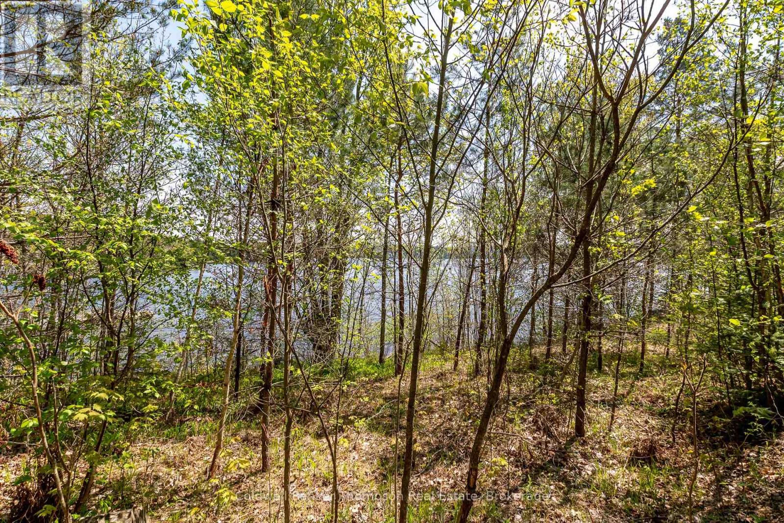 631 60 Highway, Huntsville, Ontario  P1H 1B4 - Photo 8 - X12360516