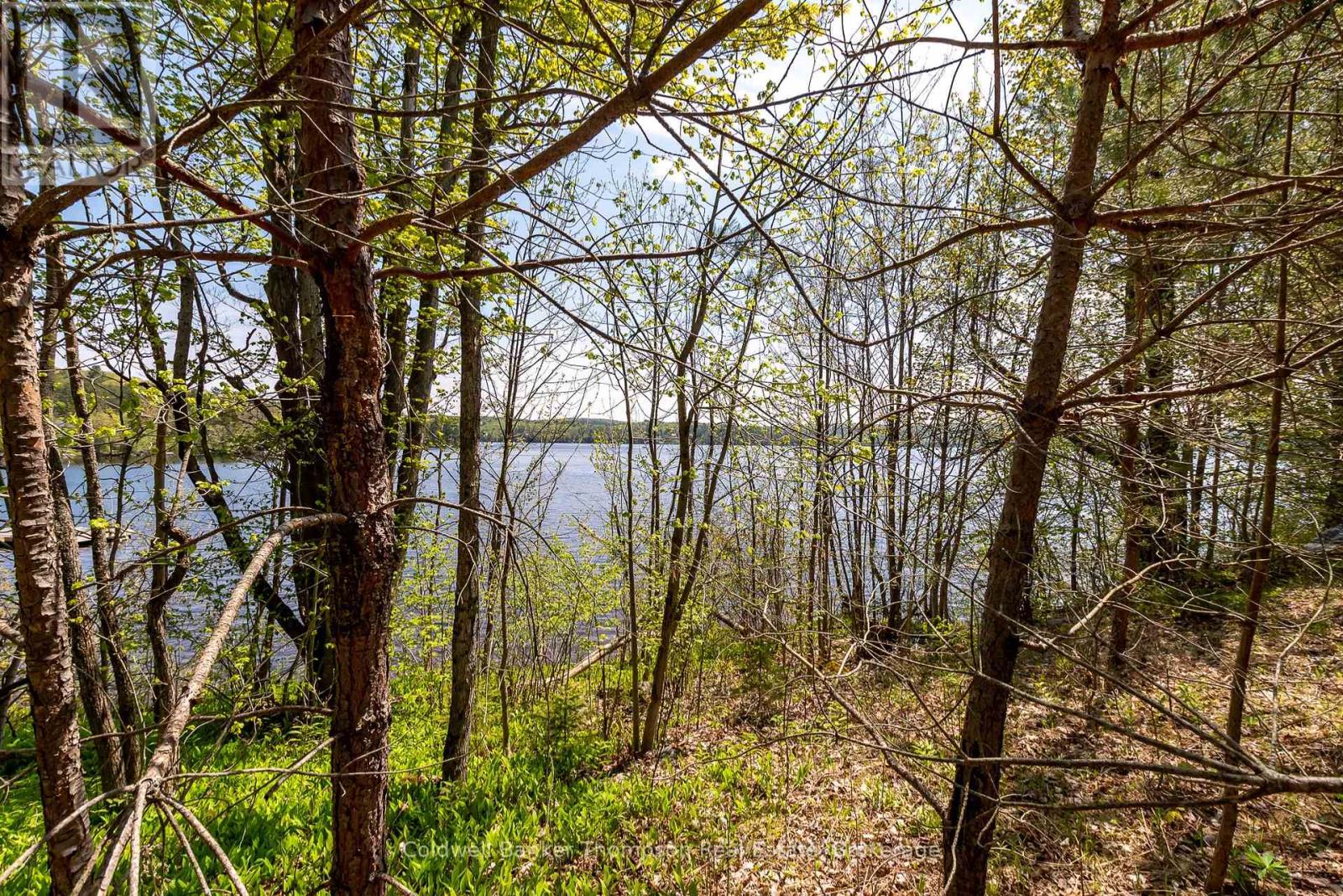 631 60 Highway, Huntsville, Ontario  P1H 1B4 - Photo 9 - X12360516