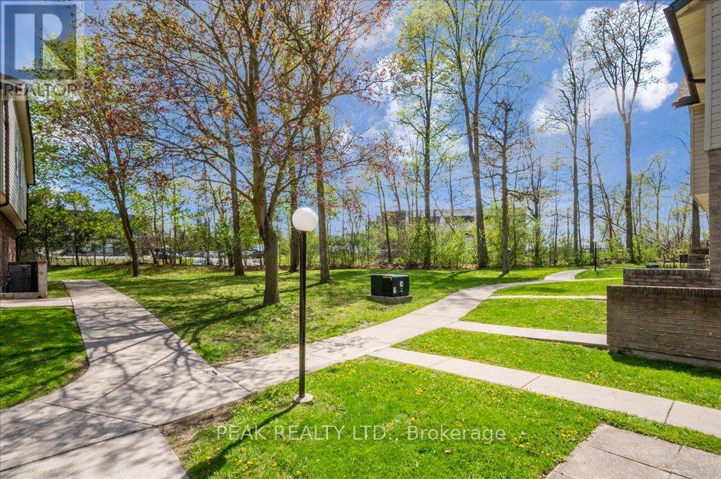 Property at 13 - 453 ALBERT STREET image 2