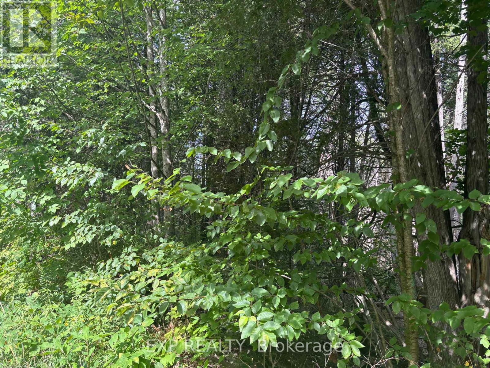 Lot A Arbor Vitae Road, Madawaska Valley, Ontario  K0J 1B0 - Photo 8 - X12064548