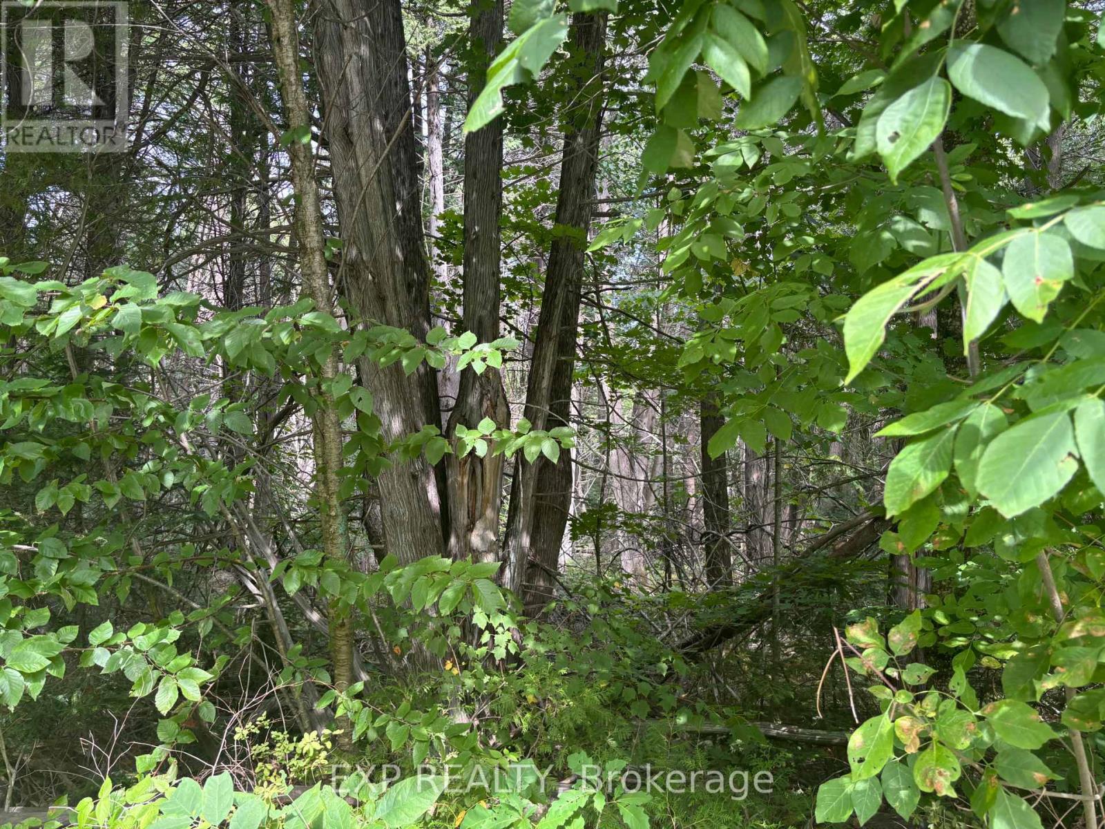 Lot A Arbor Vitae Road, Madawaska Valley, Ontario  K0J 1B0 - Photo 9 - X12064548