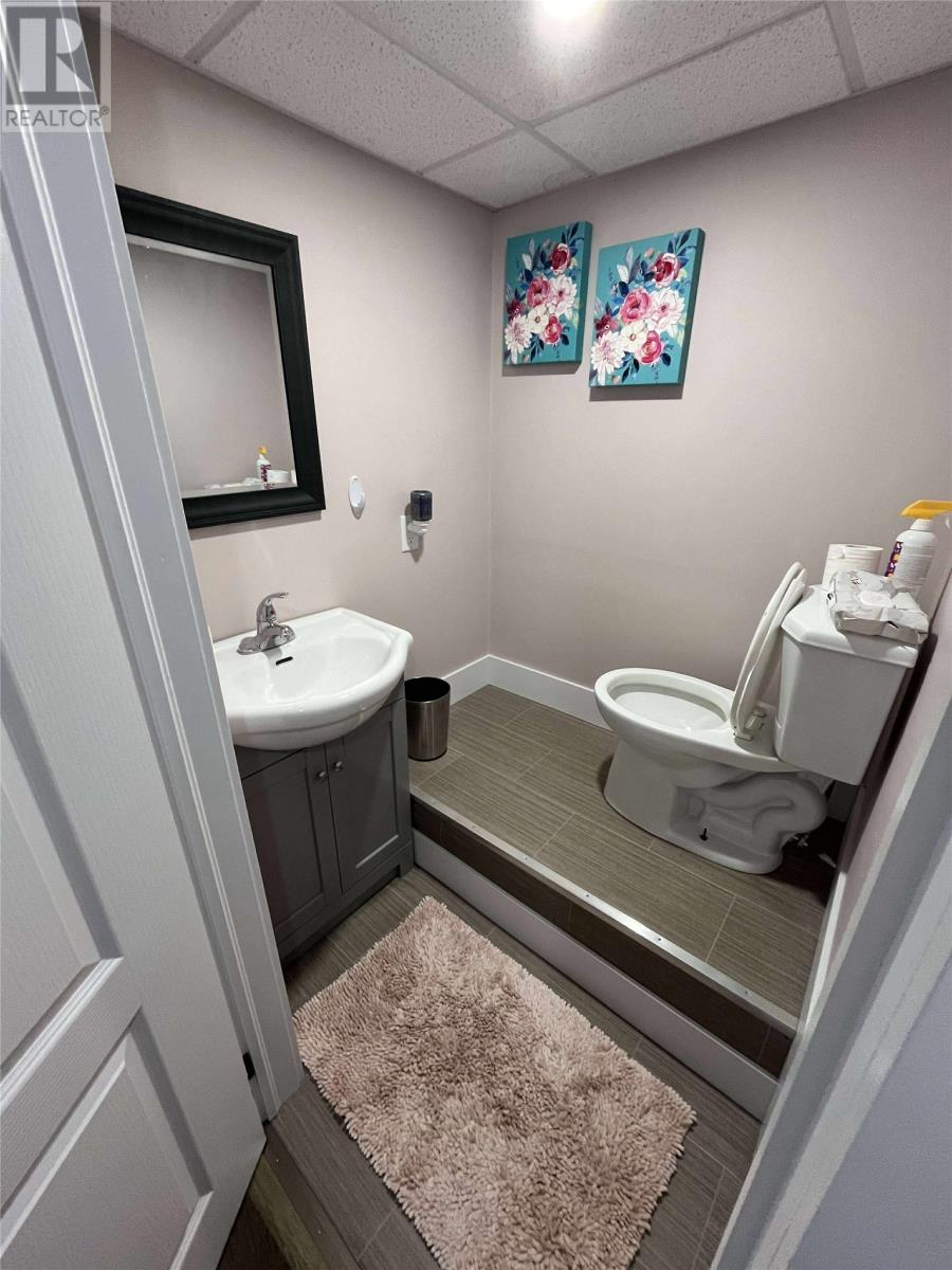 1 Chambers Branch Other, Flowers Cove, Newfoundland & Labrador  A0K 2N0 - Photo 12 - 1289574
