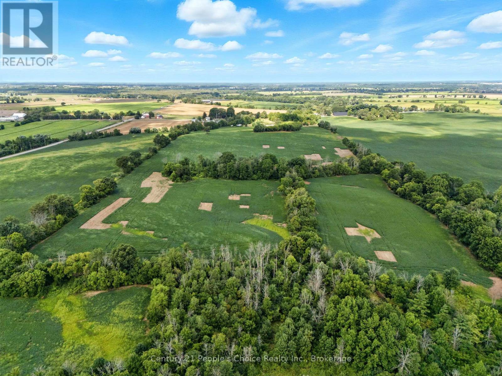 234 Pleasant Ridge Road, Brant, Ontario  N3T 5L5 - Photo 10 - X12360593