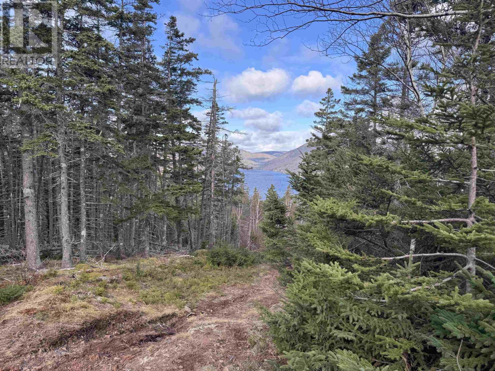 Cabot Trail, Ingonish Ferry, Nova Scotia  B0C 1L0 - Photo 33 - 202508316