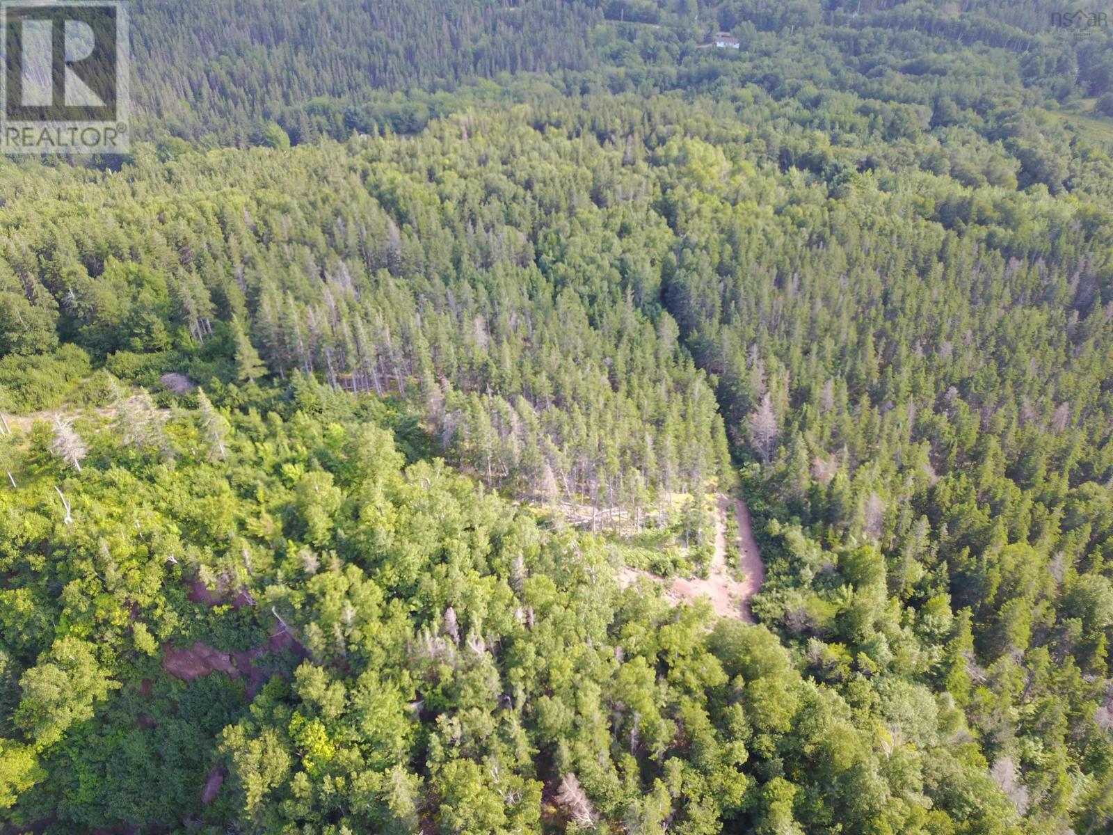 Cabot Trail, Ingonish Ferry, Nova Scotia  B0C 1L0 - Photo 4 - 202508316