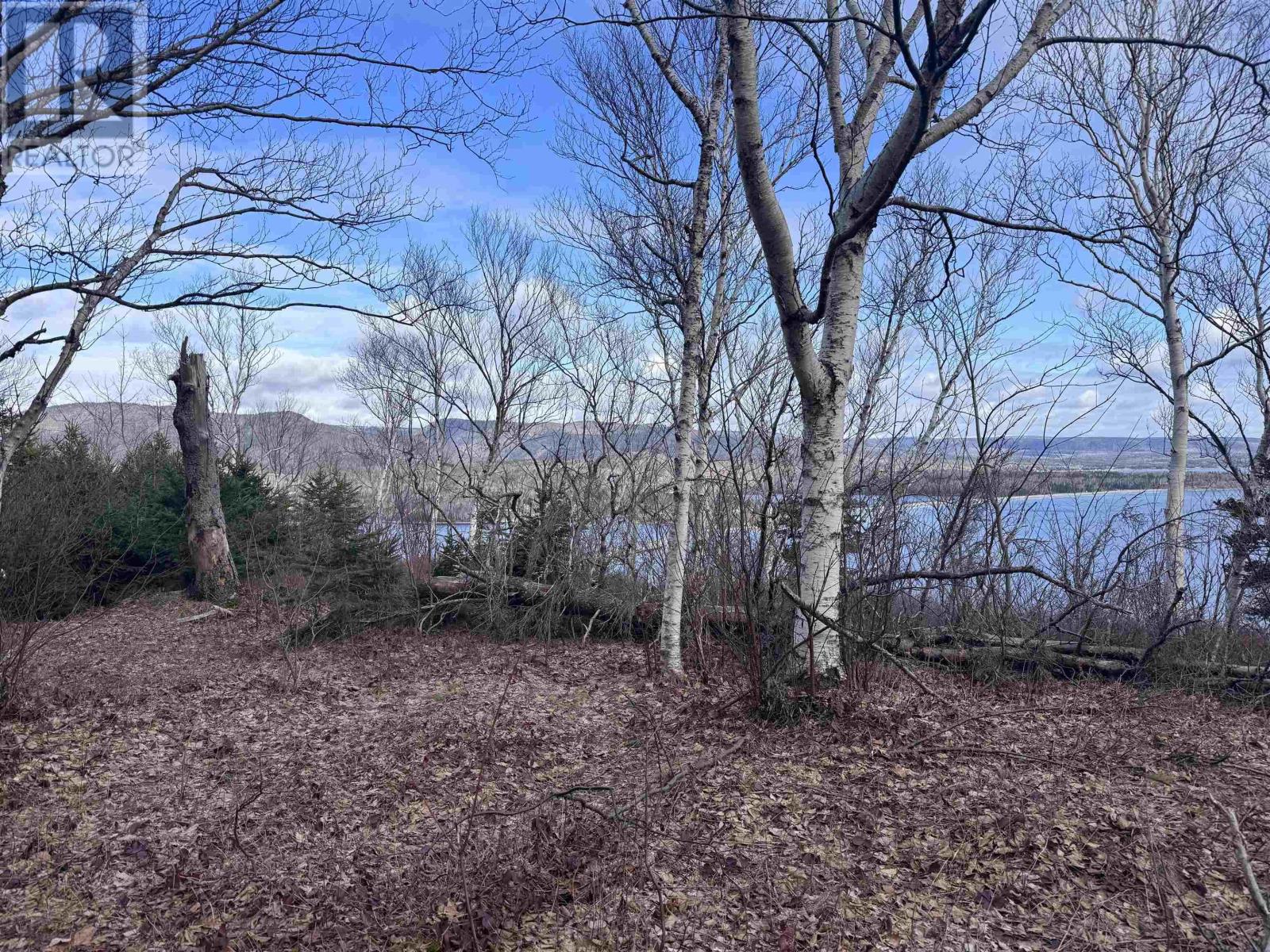 Cabot Trail, Ingonish Ferry, Nova Scotia  B0C 1L0 - Photo 9 - 202508316