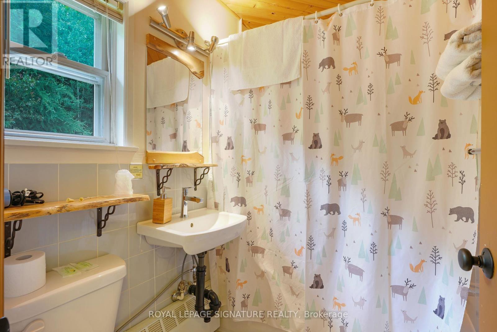1064 Omagaki Road, Minden Hills, Ontario  K0M 2K0 - Photo 12 - X12285176