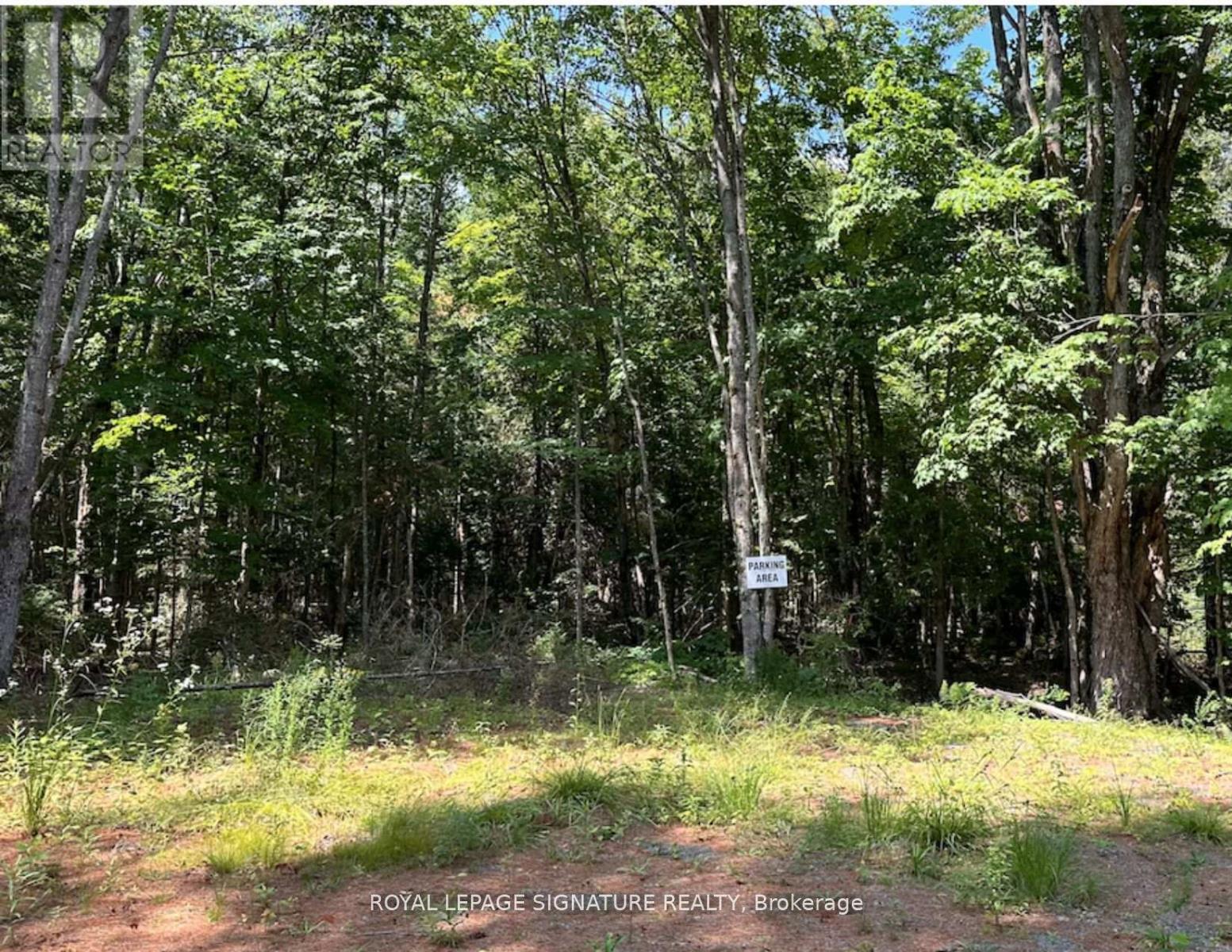 15 Axe Lake Road, Mcmurrich/monteith, Ontario  P0A 1Y0 - Photo 18 - X12335205