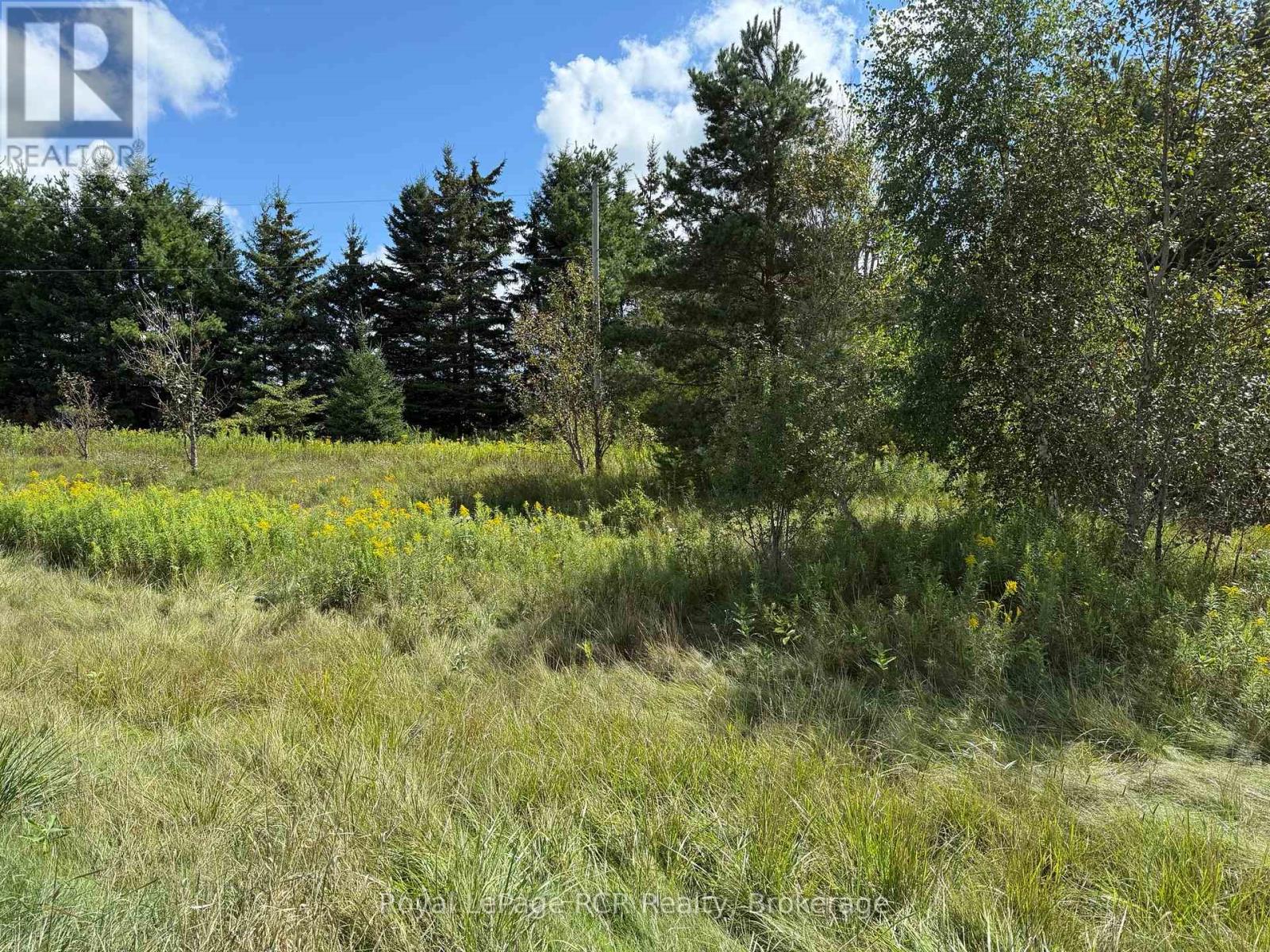 7373 Sideroad 5 E, Wellington North, Ontario  N0G 2L0 - Photo 2 - X12360829