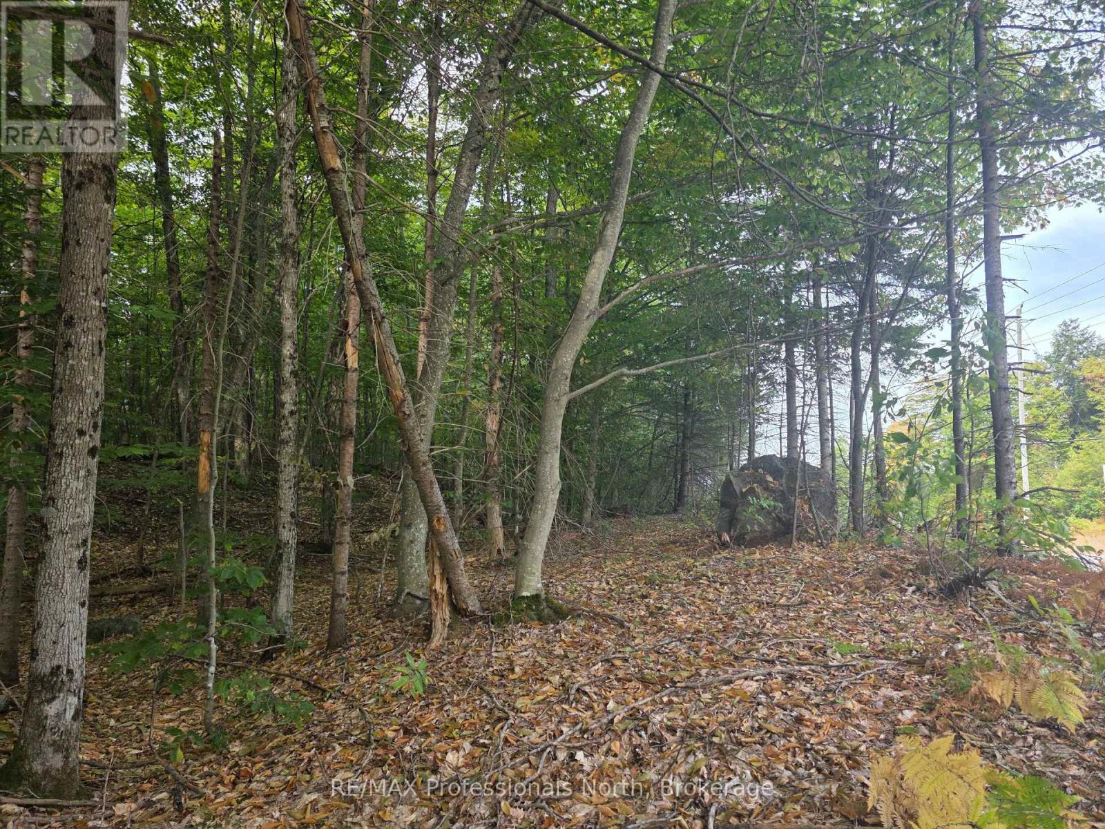 0 Highway 118, Dysart Et Al, Ontario  K0M 1S0 - Photo 4 - X12360861