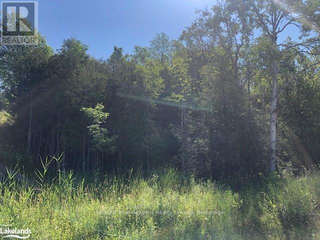 Lot 15 Elder Lane, Chatsworth, Ontario  N0H 1G0 - Photo 4 - X12360920