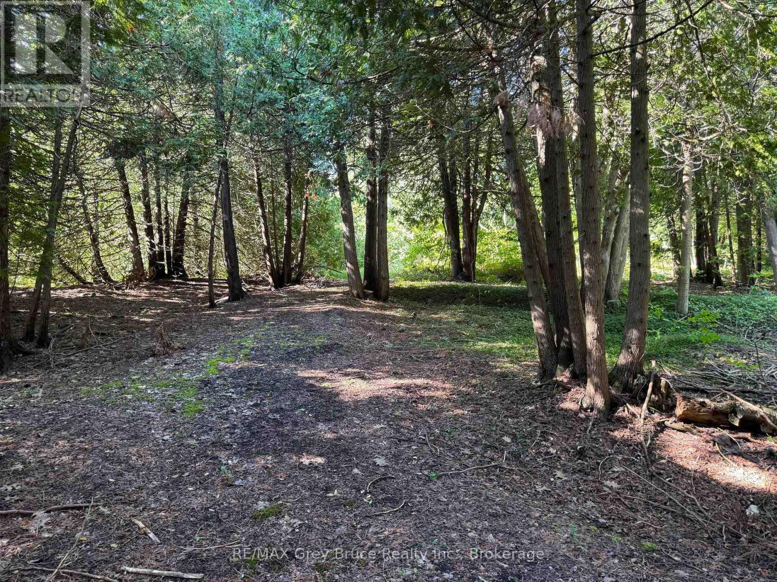 504075 Grey Road 1 Road, Georgian Bluffs, Ontario  N0H 2T0 - Photo 41 - X12355073