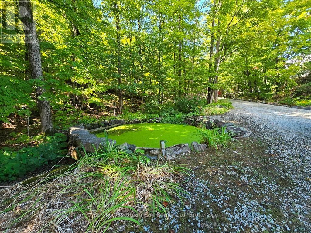 135 John Buchler Road, Georgian Bay (Baxter), Ontario  L0K 1E0 - Photo 50 - X12359743