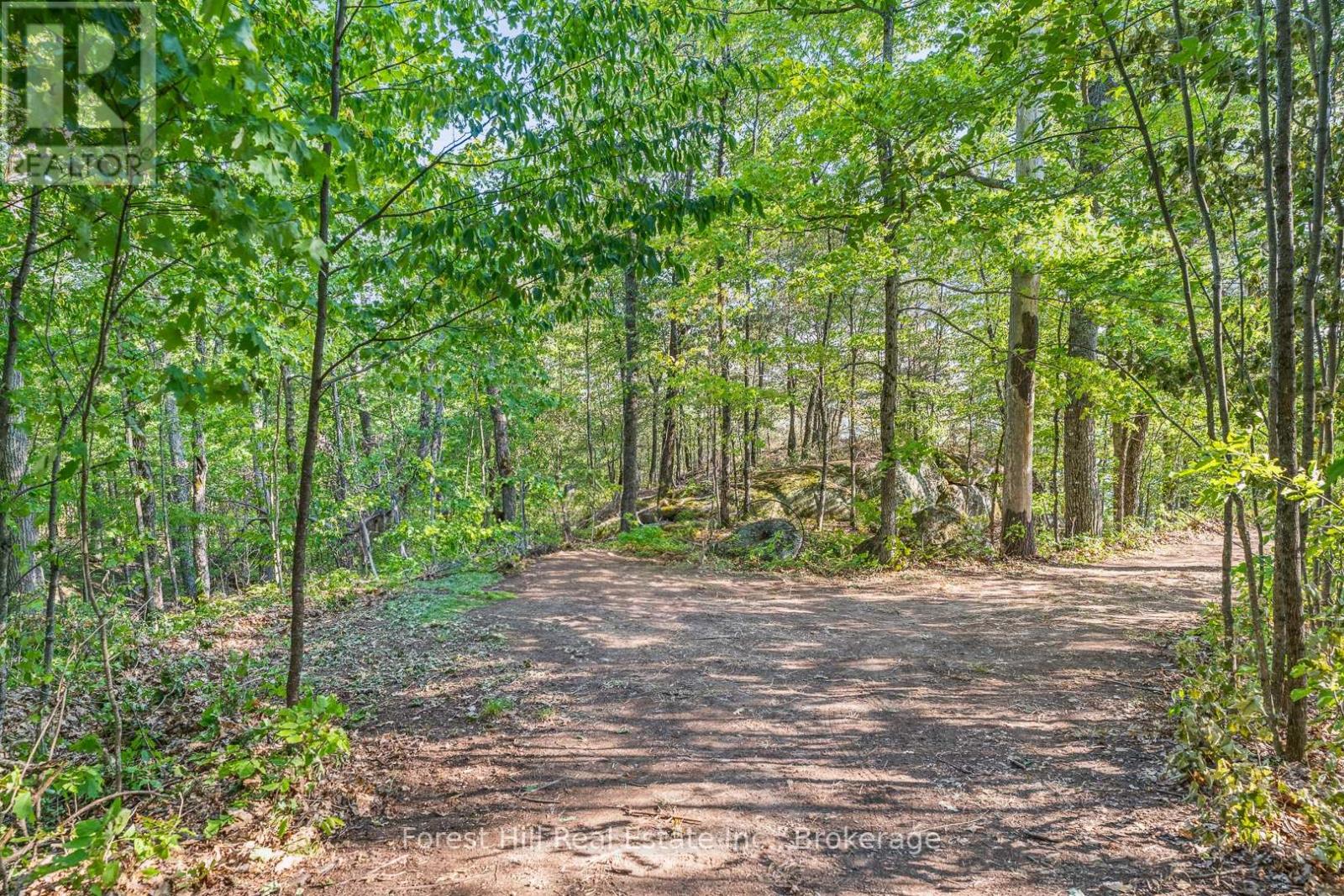 2611 Highway 35, Lake Of Bays, Ontario  P0A 1E0 - Photo 35 - X12361104