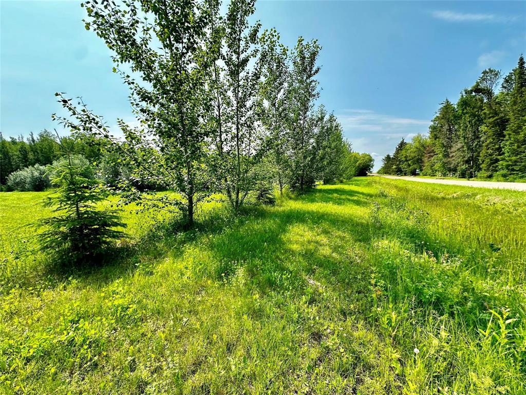 23 Elm Street, Great Falls, Manitoba  R0E 0V0 - Photo 2 - 202521120