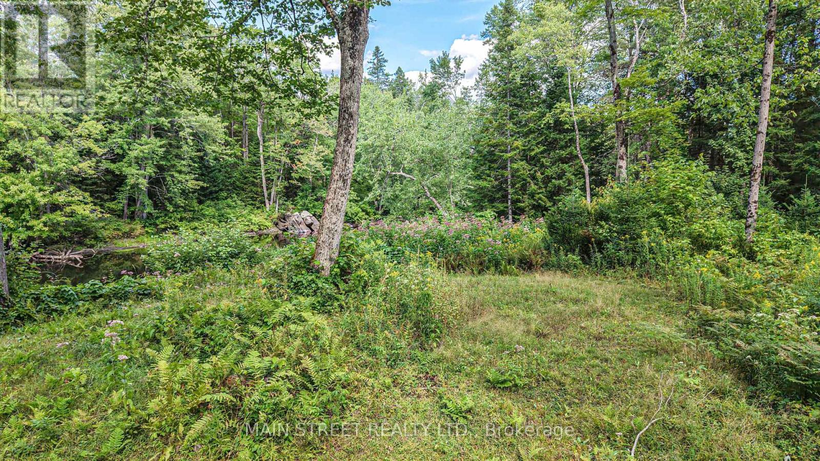 6583 Pioneer Village Lane, Ramara, Ontario  L0K 1W0 - Photo 15 - S12361149