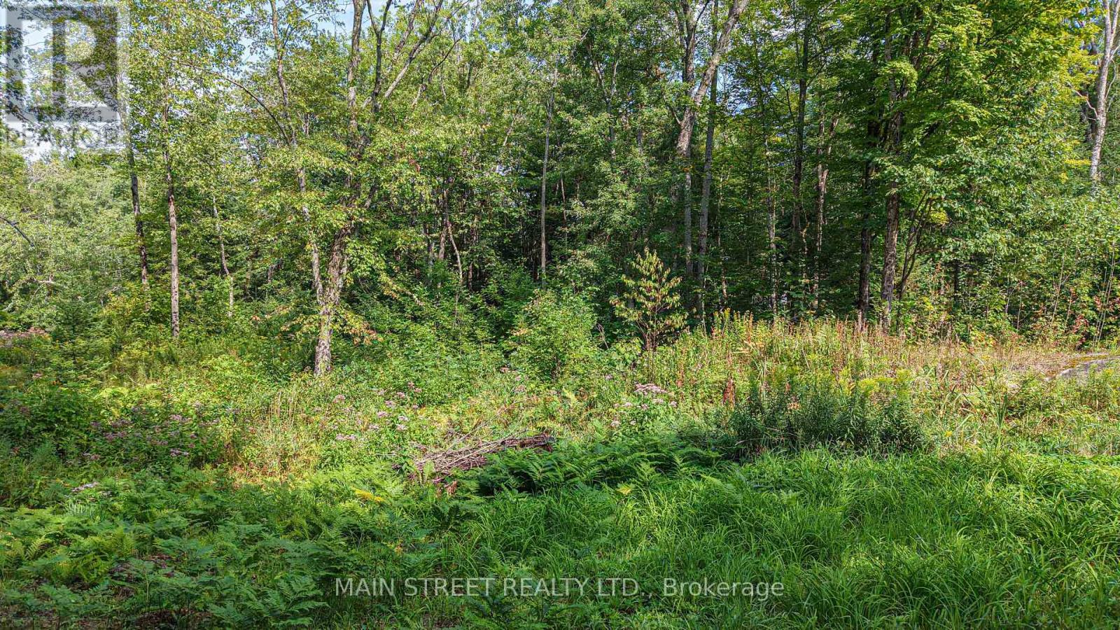 6583 Pioneer Village Lane, Ramara, Ontario  L0K 1W0 - Photo 5 - S12361149