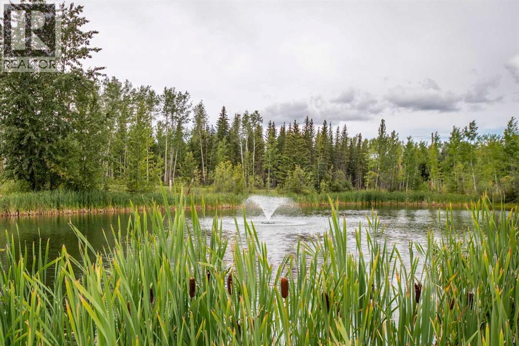 69067 Hwy 40, Grovedale, Alberta  T0H 1X0 - Photo 44 - A2250899