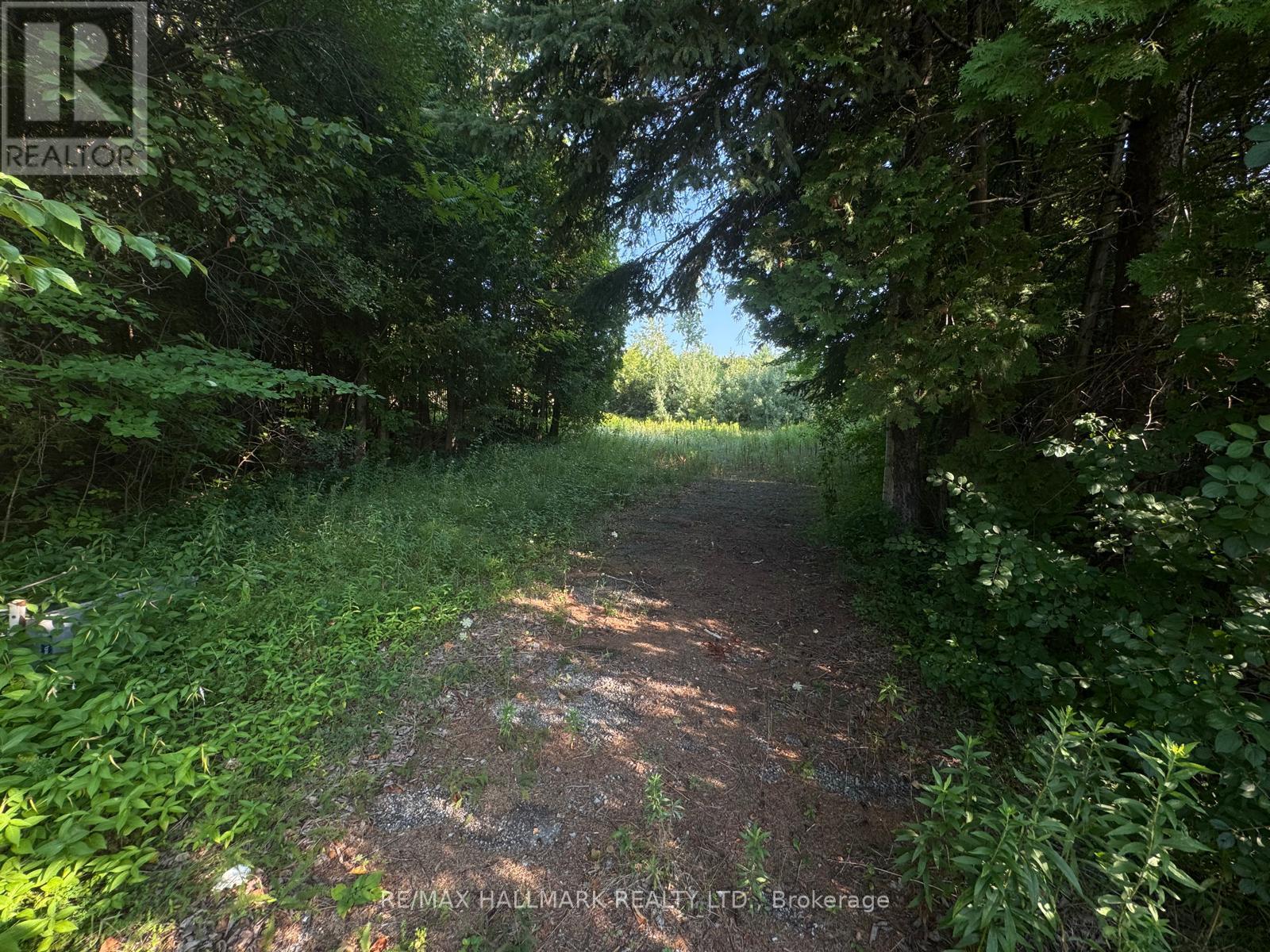 780 Taunton Road E, Whitby, Ontario  L1R 3L6 - Photo 11 - E12355257
