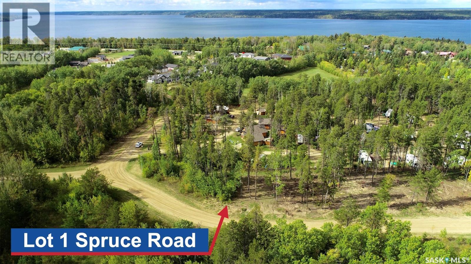 Lot 1 Spruce Road, Tobin Lake, Saskatchewan  S0E 1E0 - Photo 3 - SK016497