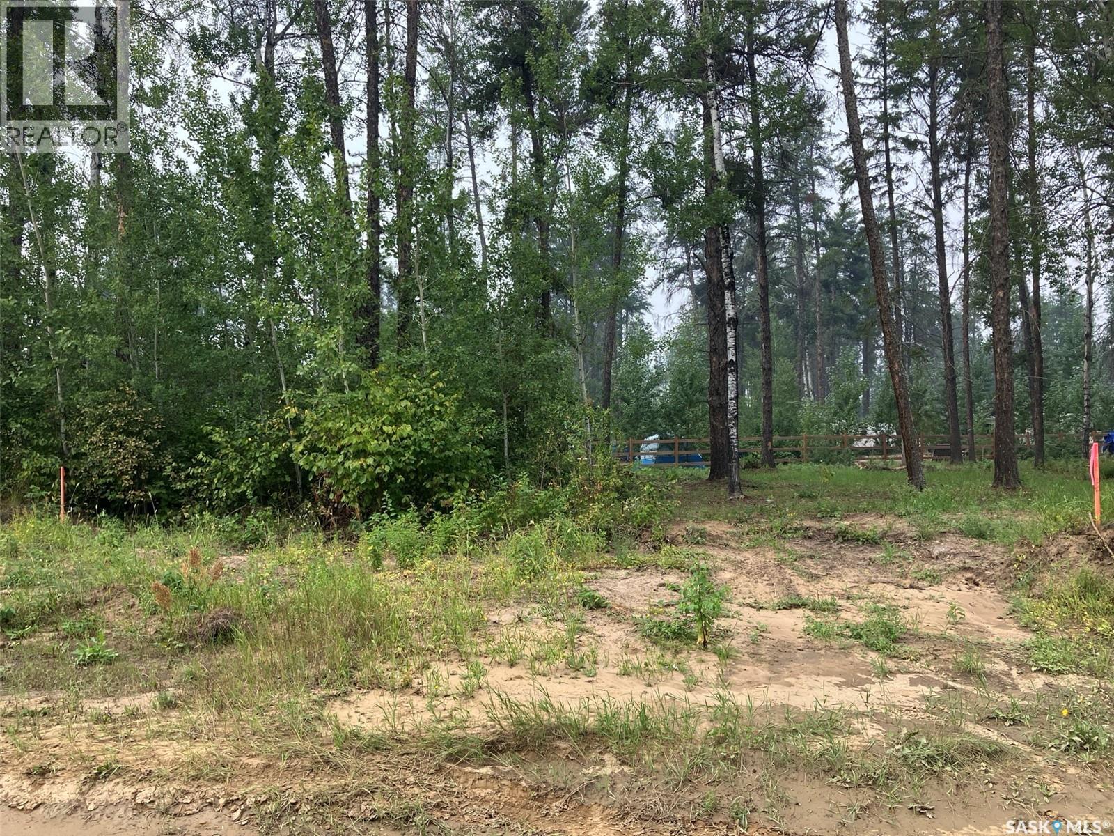 Lot 1 Spruce Road, Tobin Lake, Saskatchewan  S0E 1E0 - Photo 6 - SK016497