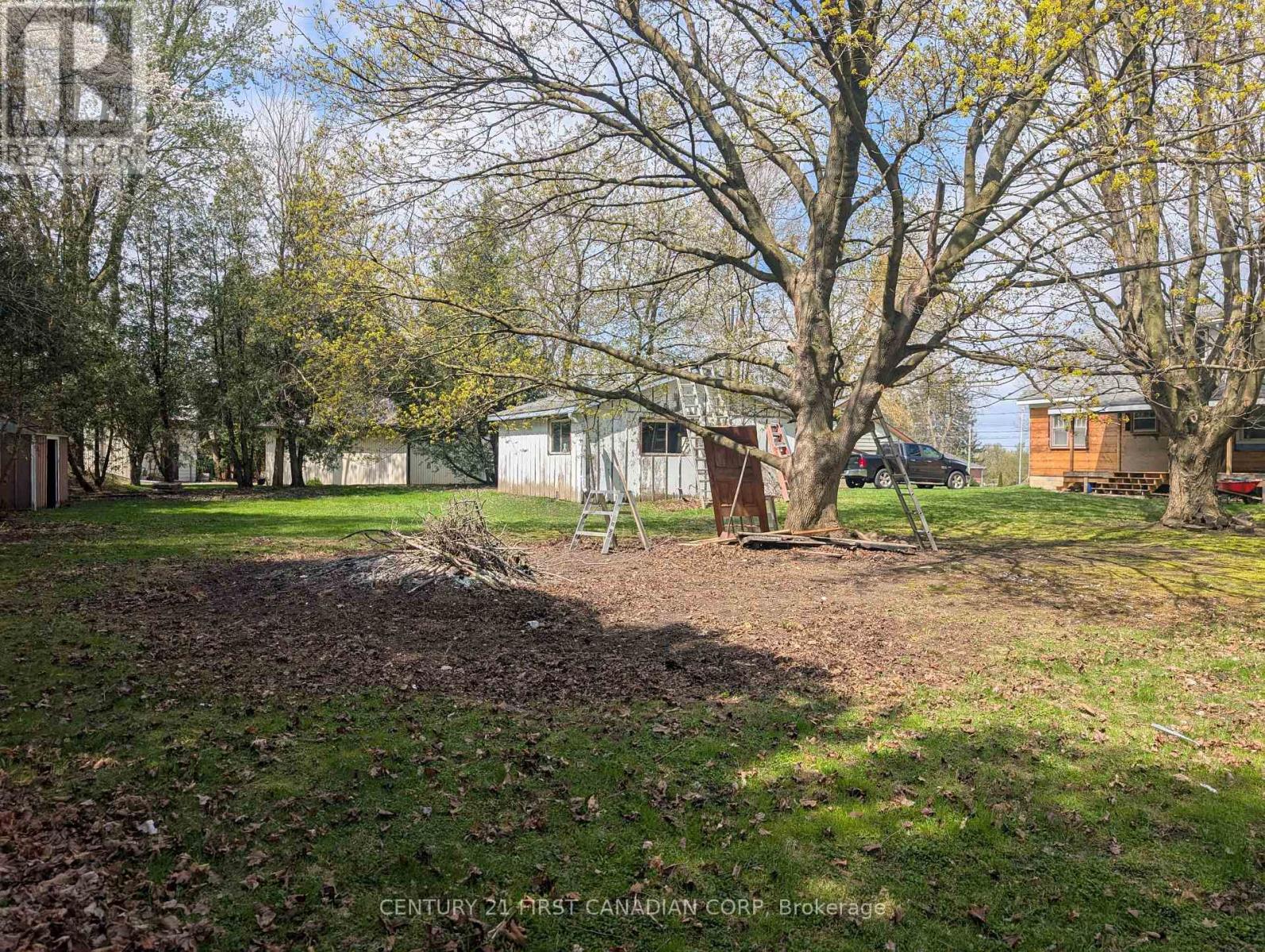 Property at 211 KING EDWARD STREET image 4