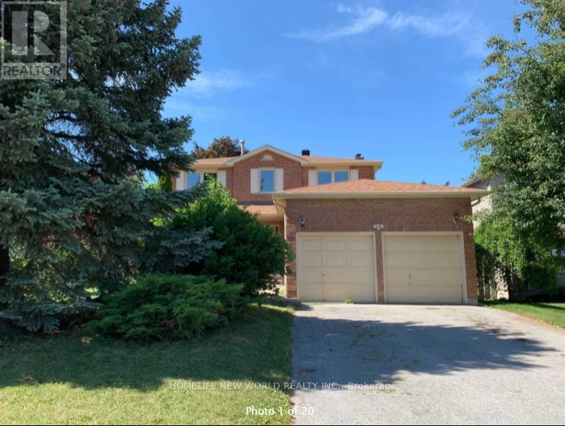 WALK OUT BASEMENT APT - 252 OSMOND CRESCENT, Newmarket, Ontario