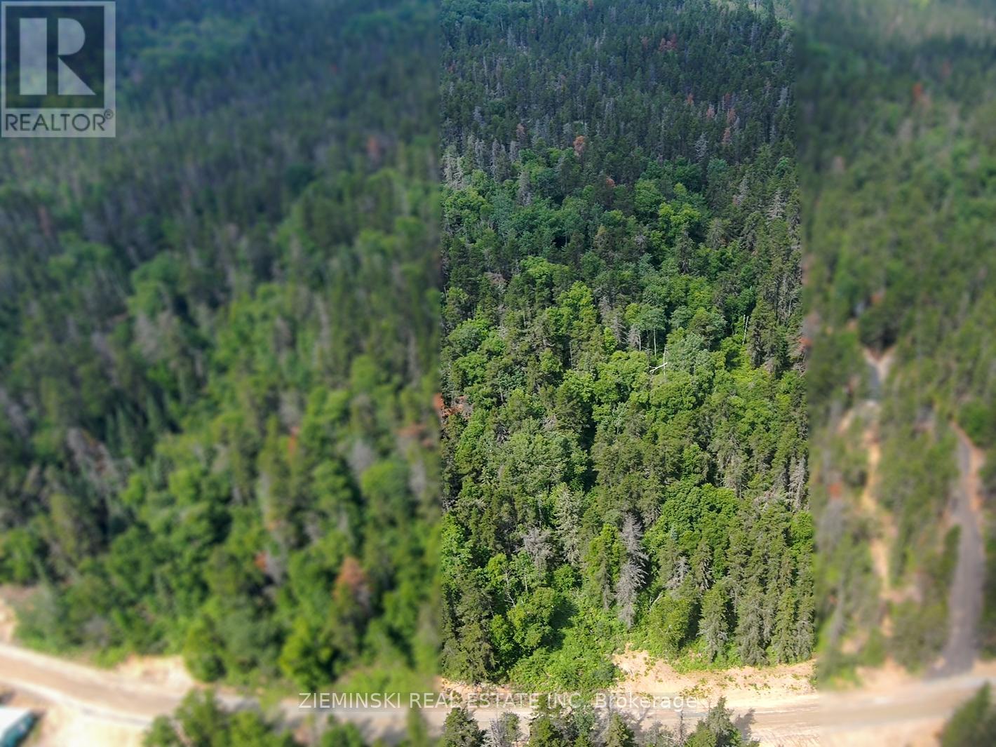Lot 8 Plan 6m499, North Munro Lake Road, Black River-Matheson, Ontario  P0K 1N0 - Photo 2 - T12361635