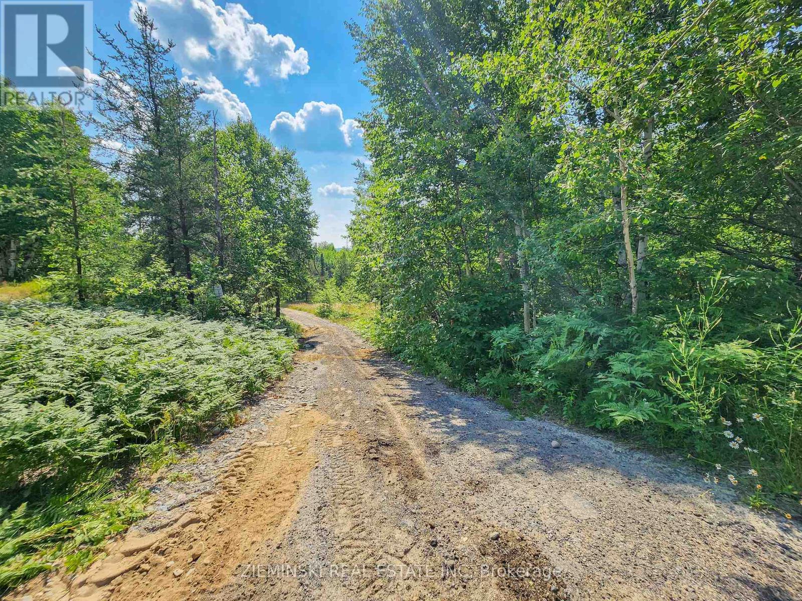 Lot 3 Plan 6m499, North Munro Lake Road, Black River-Matheson, Ontario  P0K 1N0 - Photo 13 - T12361639