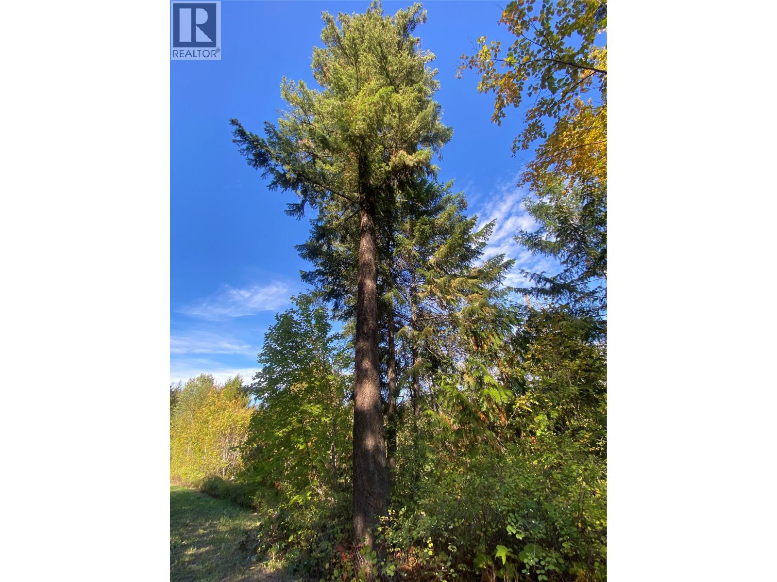 655 Caouette Road, Sorrento, British Columbia  V0E 2W1 - Photo 49 - 10337316