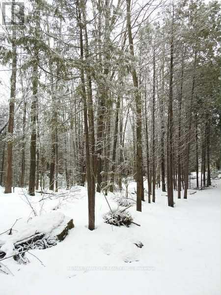 382185 17 Concession, Georgian Bluffs, Ontario  N0H 2T0 - Photo 45 - X12361696