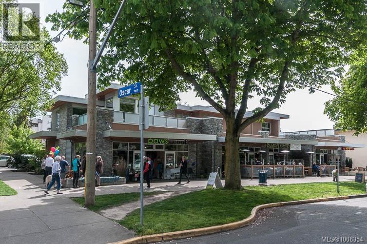 302 1024 Fairfield Rd, Victoria, British Columbia  V8V 3A5 - Photo 42 - 1008354