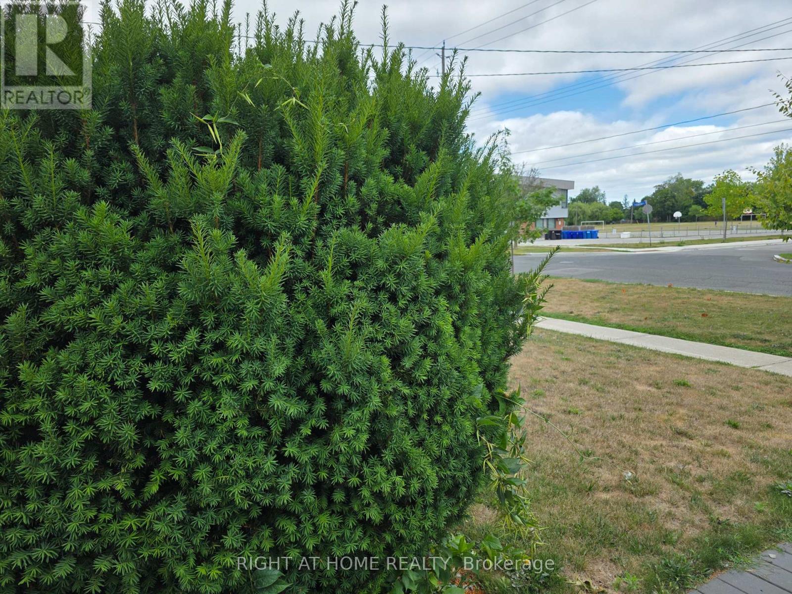 220 Livingston Road, Toronto, Ontario  M1E 1L7 - Photo 6 - E12361736