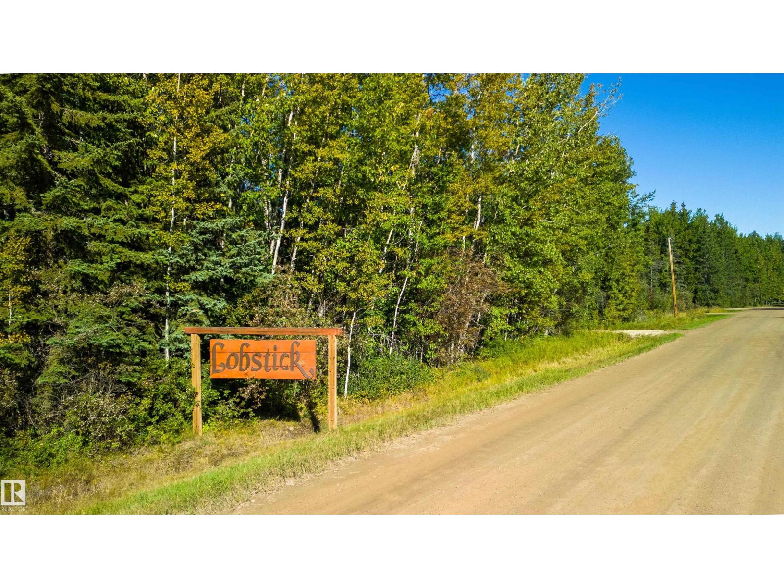 2, Rge Rd 90 / Lobstick Resort Rd, Rural Yellowhead, Alberta  T0E 2M0 - Photo 2 - E4454243