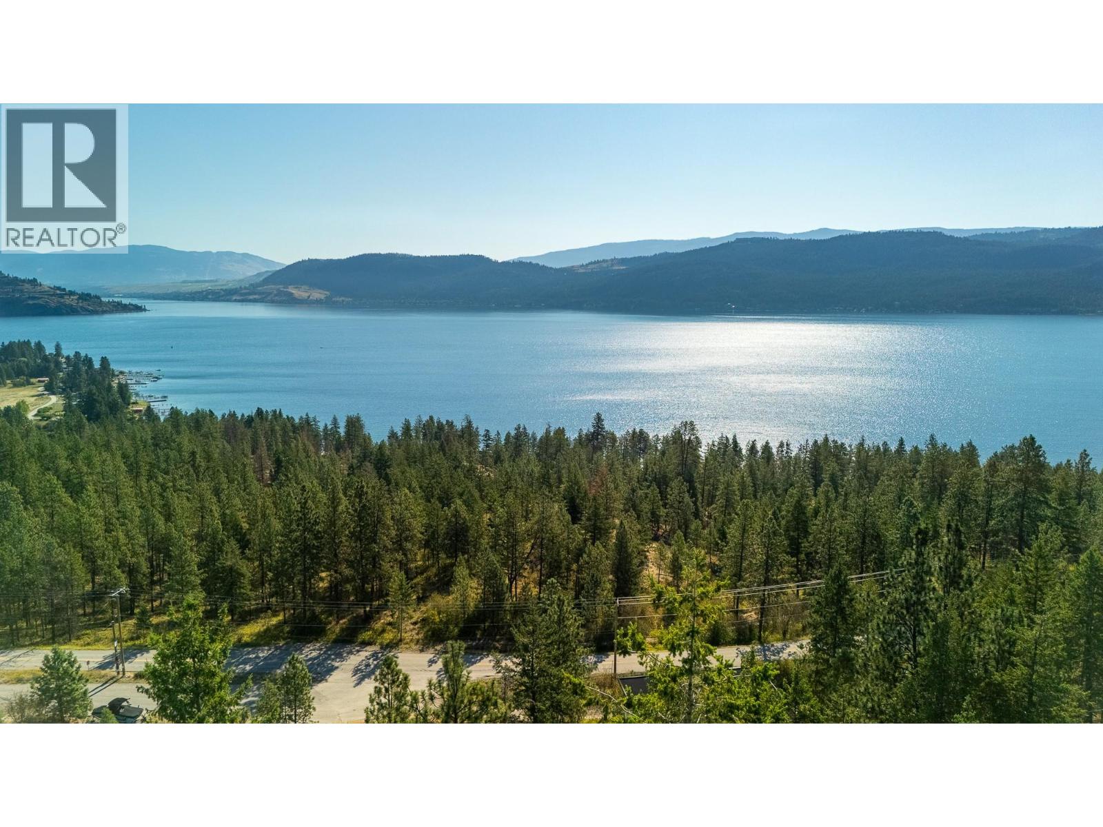 10461 Westshore Road, Vernon, British Columbia  V1H 2B2 - Photo 9 - 10360352