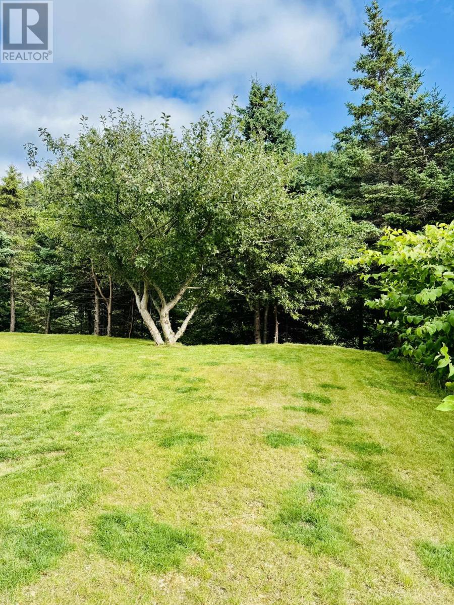 35 Riverview Avenue, Norman's Cove, Newfoundland & Labrador  A0B 2T0 - Photo 41 - 1289621