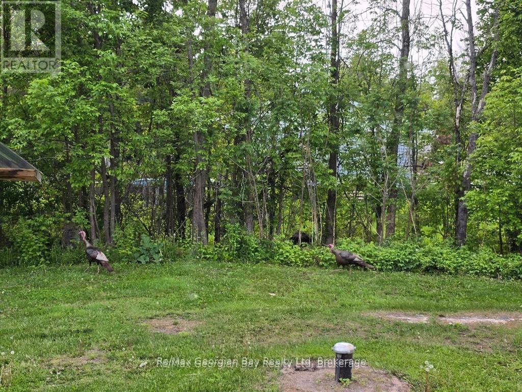 2066 Irish Line, Severn, Ontario  L0K 1E0 - Photo 43 - S12294756
