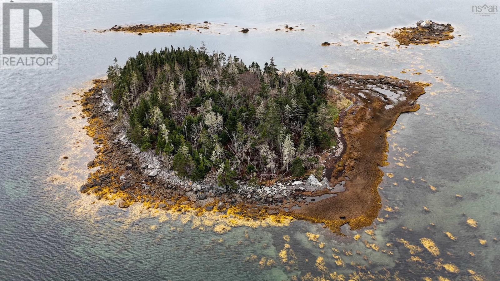Little Militia Island, Bear Point, Nova Scotia  B0W 3B0 - Photo 10 - 202521490