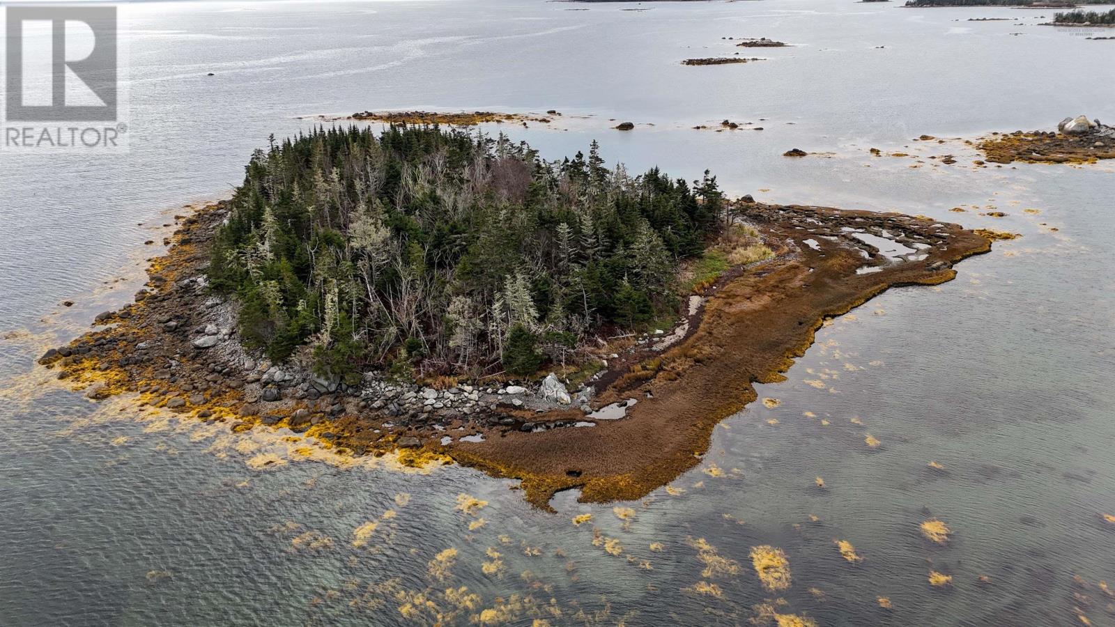 Little Militia Island, Bear Point, Nova Scotia  B0W 3B0 - Photo 11 - 202521490