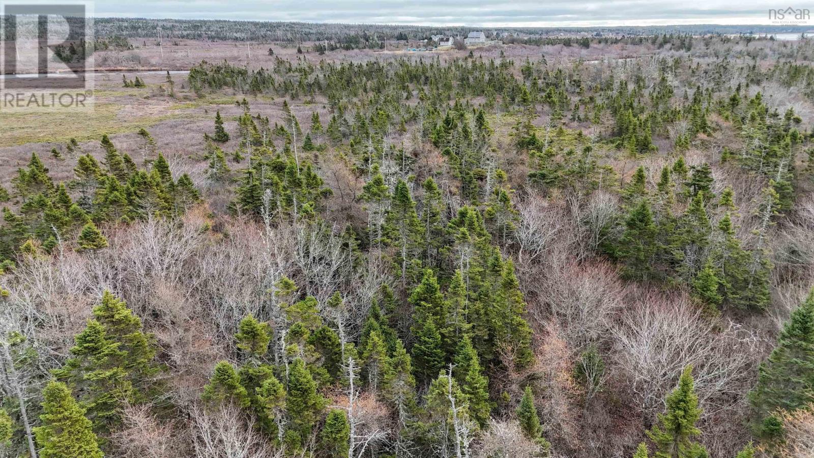 Popes Road, Charlesville, Nova Scotia  B0W 2E0 - Photo 10 - 202521492