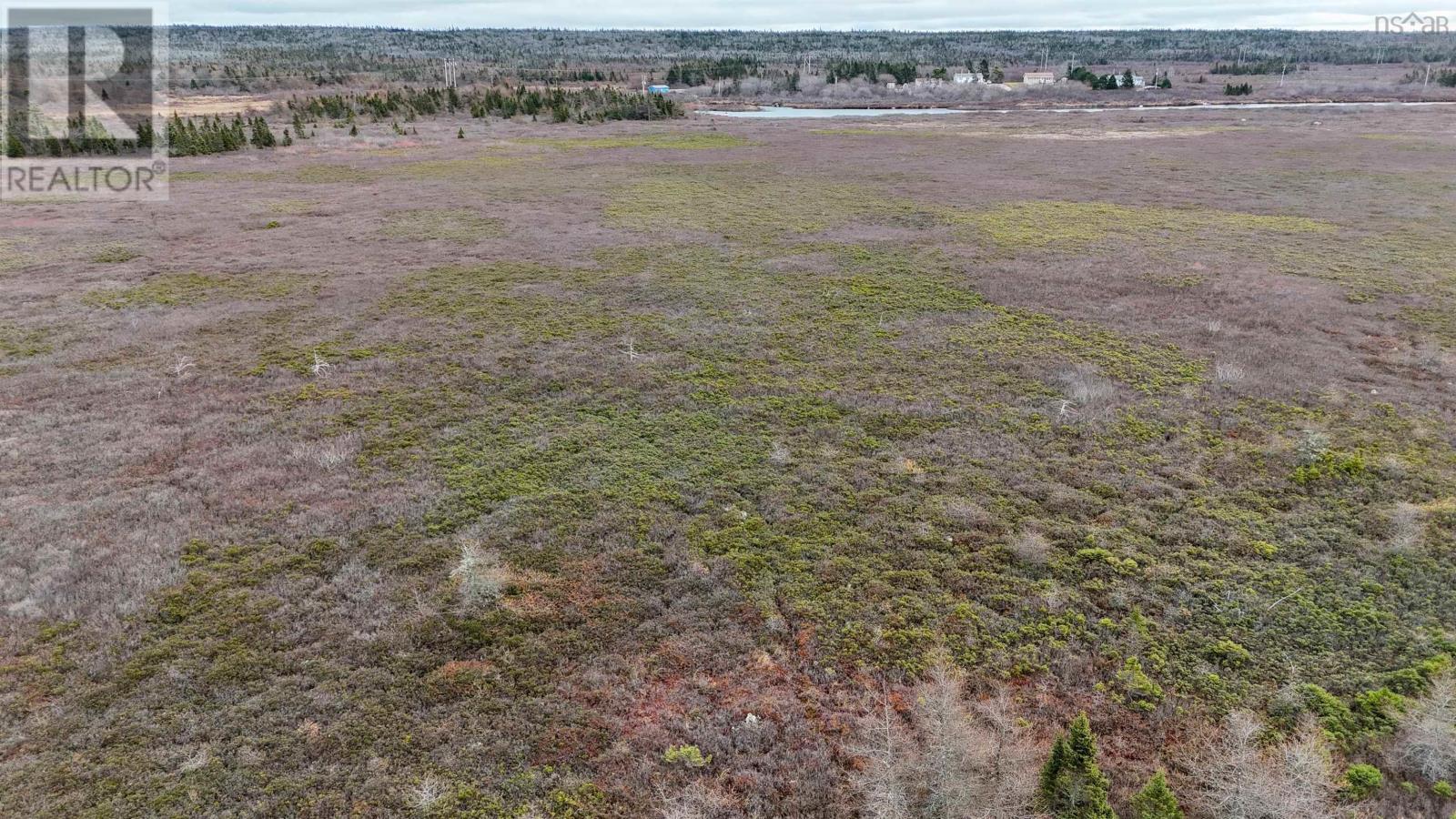 Popes Road, Charlesville, Nova Scotia  B0W 2E0 - Photo 11 - 202521492