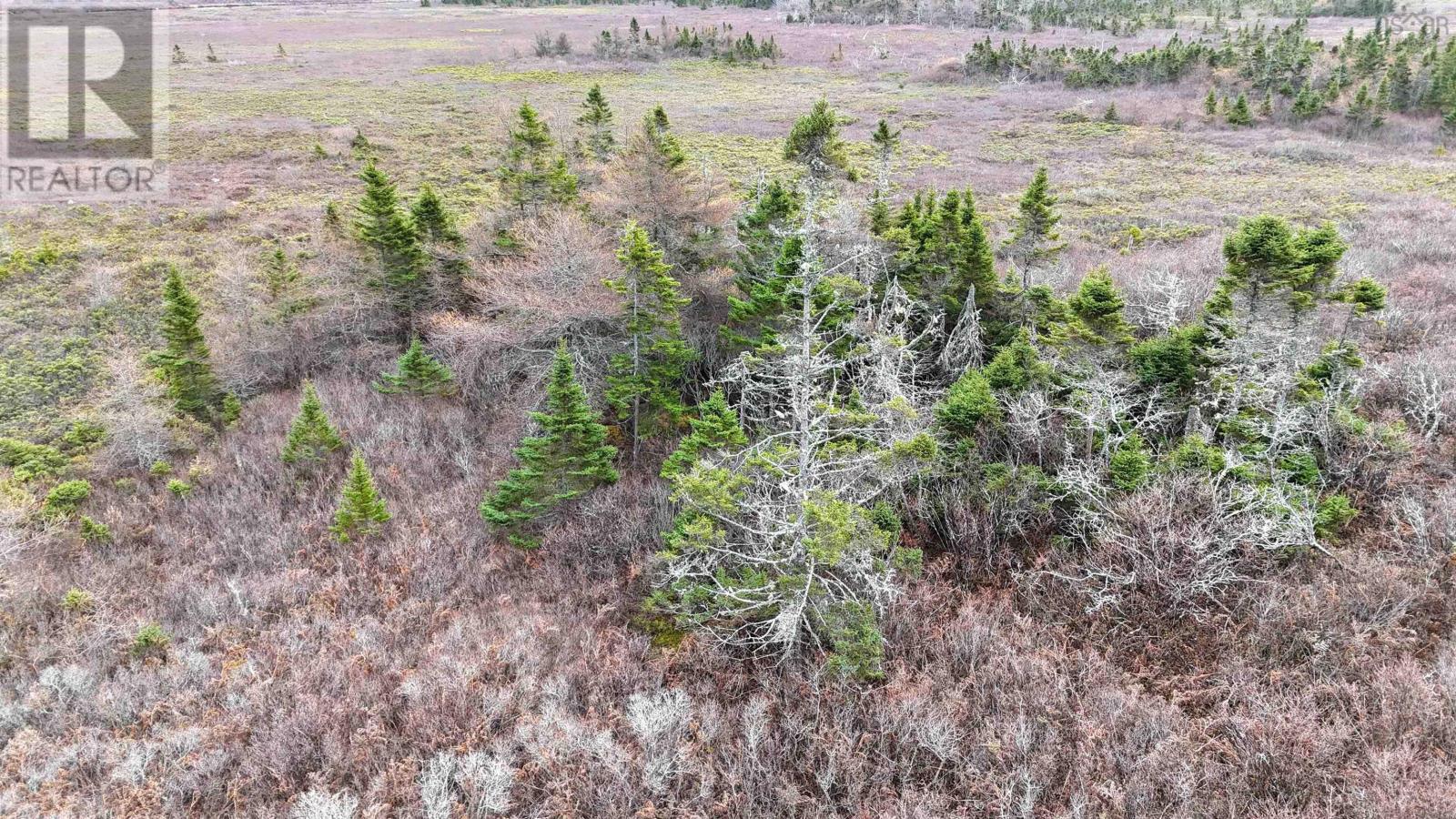 Popes Road, Charlesville, Nova Scotia  B0W 2E0 - Photo 2 - 202521492