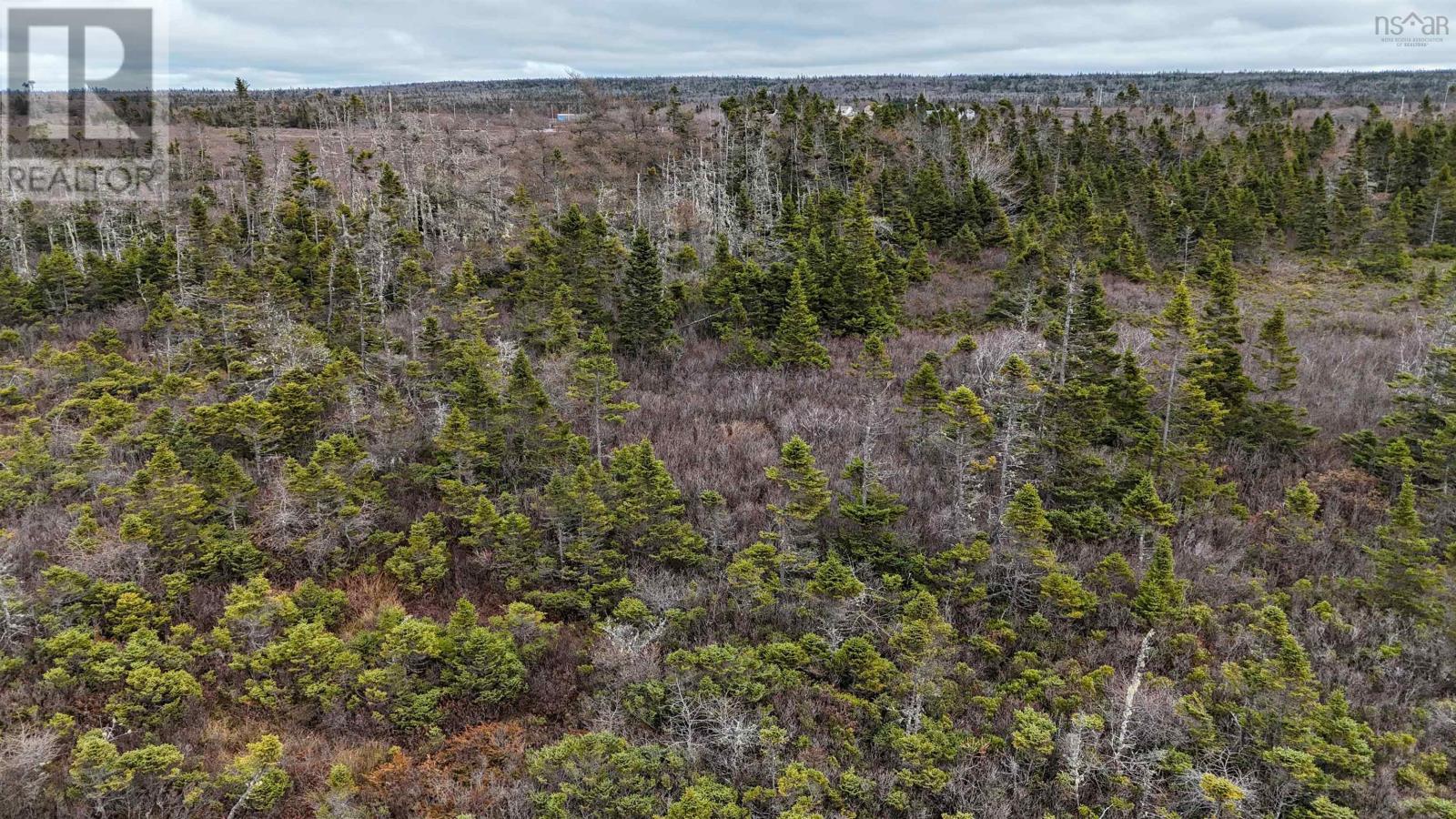 Popes Road, Charlesville, Nova Scotia  B0W 2E0 - Photo 20 - 202521492