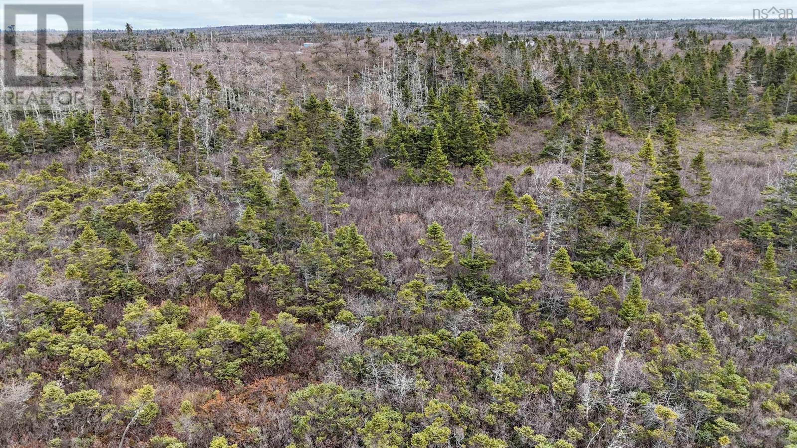 Popes Road, Charlesville, Nova Scotia  B0W 2E0 - Photo 21 - 202521492