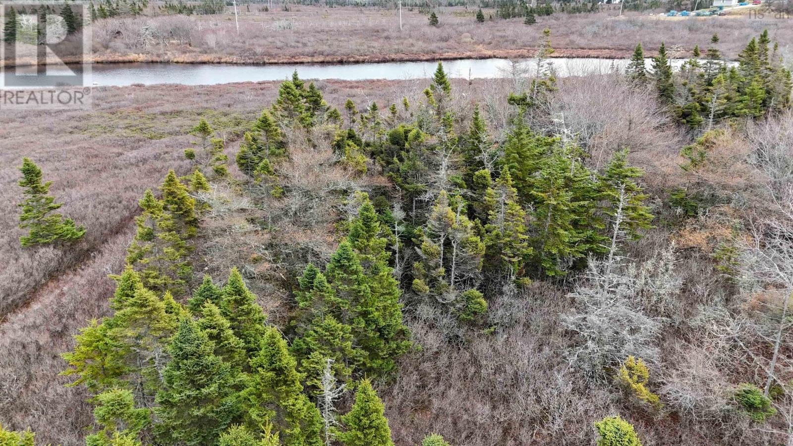 Popes Road, Charlesville, Nova Scotia  B0W 2E0 - Photo 27 - 202521492