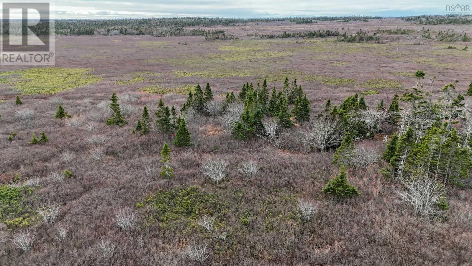 Popes Road, Charlesville, Nova Scotia  B0W 2E0 - Photo 3 - 202521492