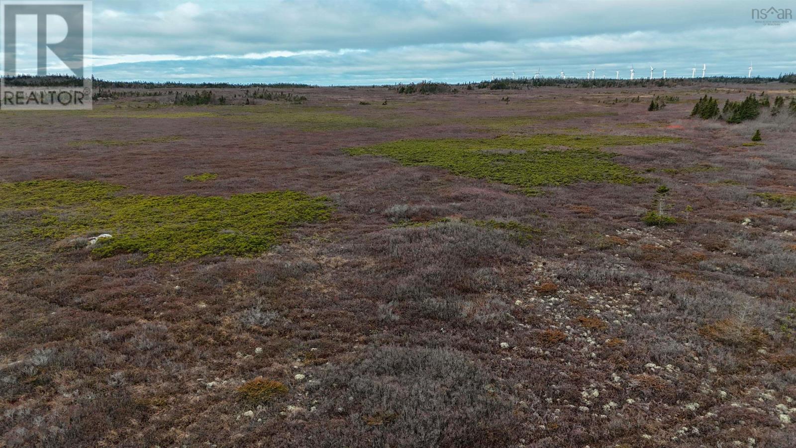Popes Road, Charlesville, Nova Scotia  B0W 2E0 - Photo 31 - 202521492