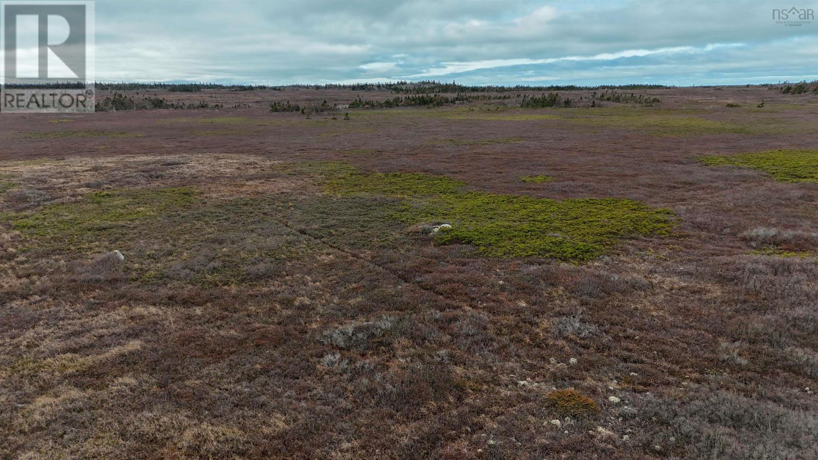 Popes Road, Charlesville, Nova Scotia  B0W 2E0 - Photo 32 - 202521492